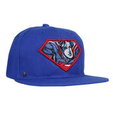 Gorra Plana Logo Superman Rostro